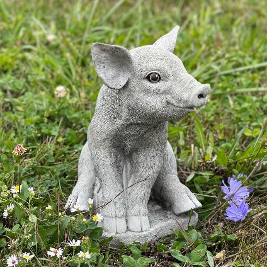 Pig concrete sitting statue