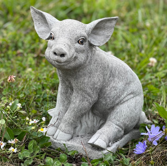Pig concrete sitting statue