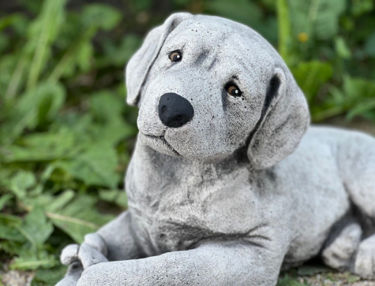 Detailed labrador retriever statue