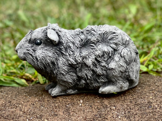 Guinea pig figure
