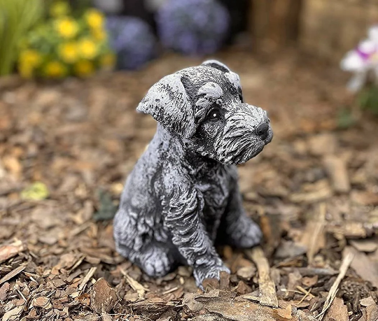 Sitting Schnauzer dog statue