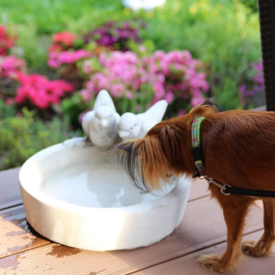 Massive drinker for birds and pets figurine