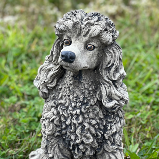 Large Poodle dog statue
