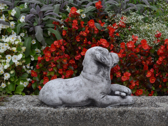 Labrador dog laying statue