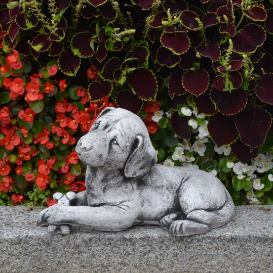 Labrador dog laying statue