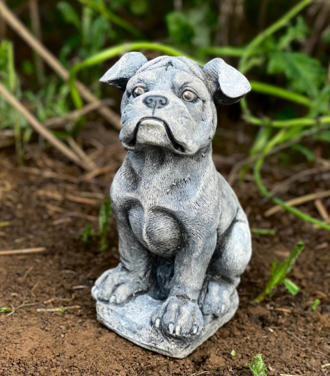 Concrete Boxer dog statue