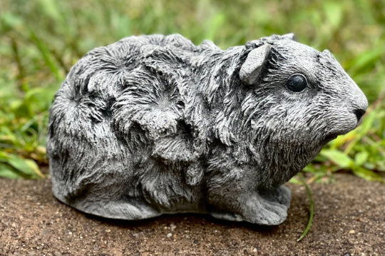 Guinea pig figure