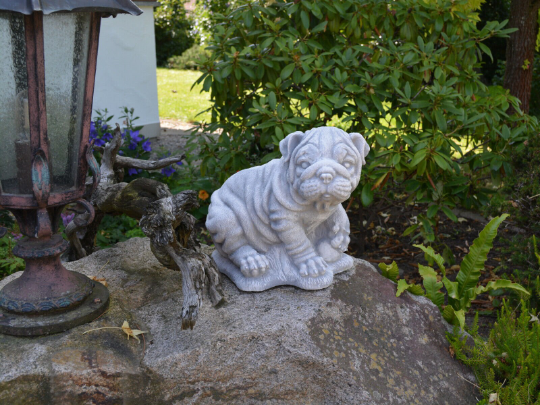 Shar Pei Dog statue