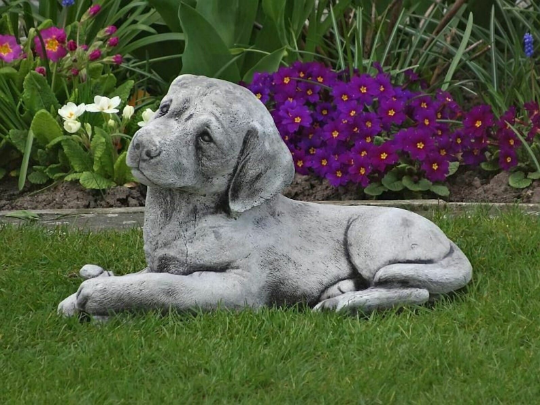 Labrador dog laying statue