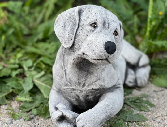 Detailed labrador retriever statue