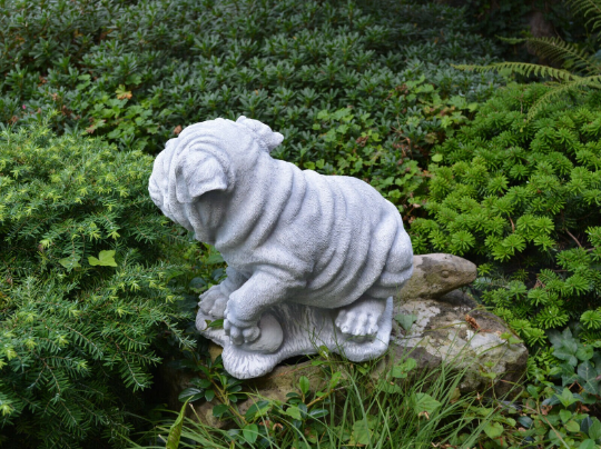 Shar Pei Dog statue