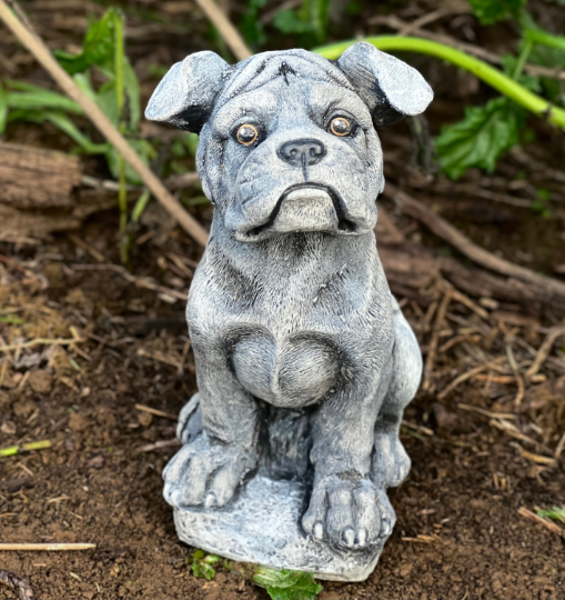 Concrete Boxer dog statue