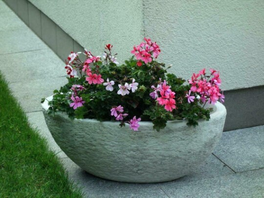 Concrete flower pot statue