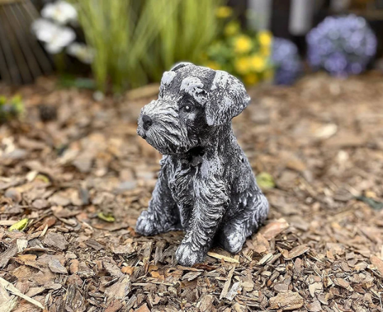 Sitting Schnauzer dog statue