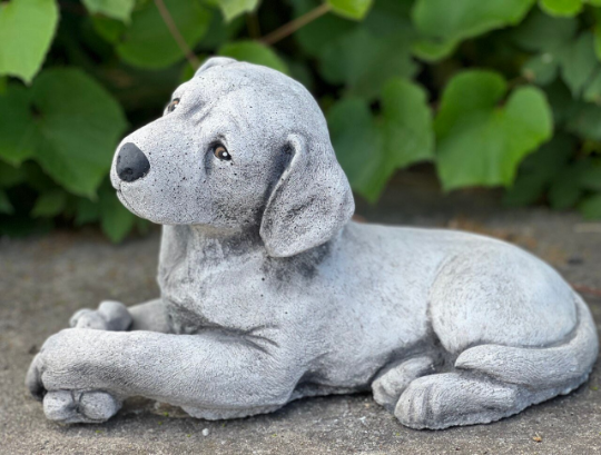 Detailed labrador retriever statue