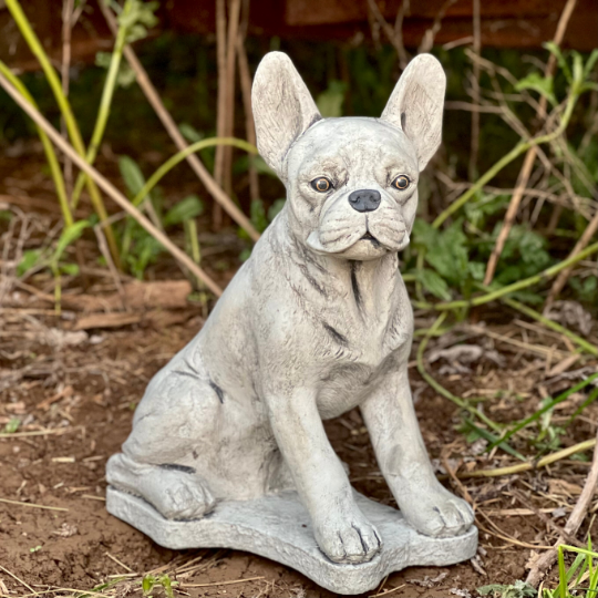 Large Boston Terrier statue