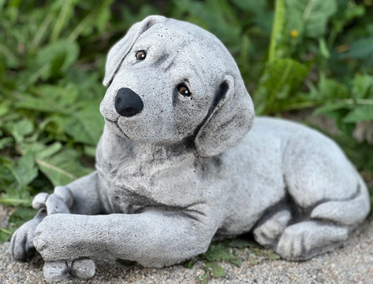 Detailed labrador retriever statue