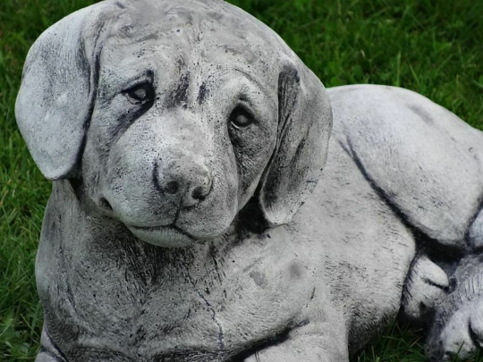 Labrador dog laying statue