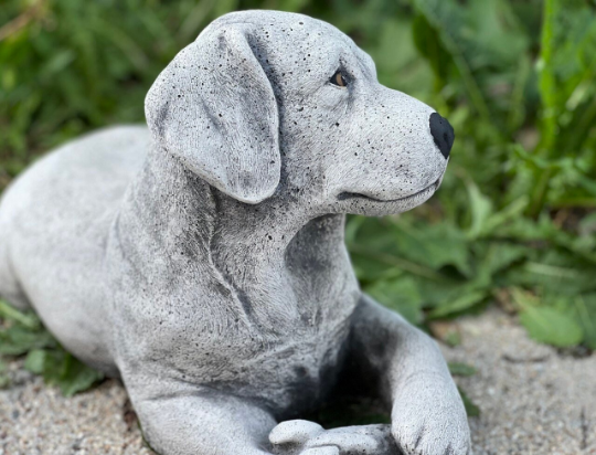 Detailed labrador retriever statue