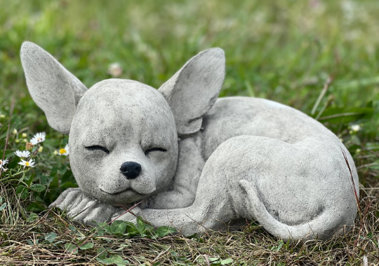 Chihuahua sleeping statue