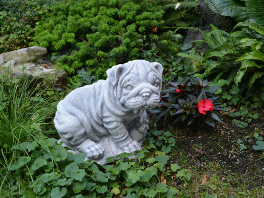 Shar Pei Dog statue