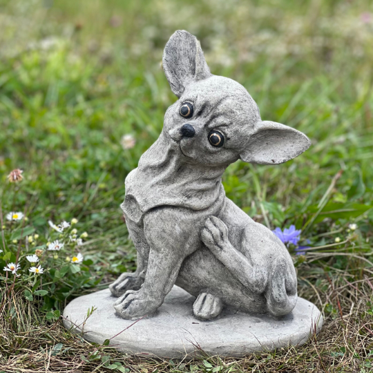 Concrete sitting Chihuahua statue