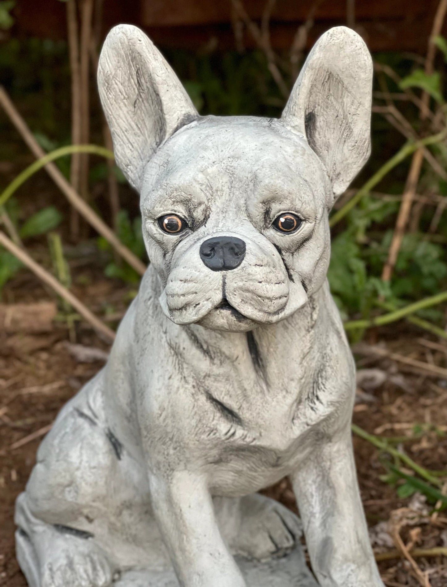 Boston Terrier statue
