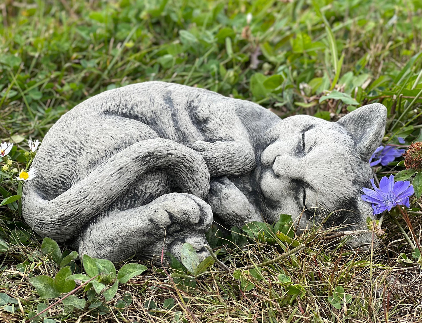 Sleeping Cat memorial statue
