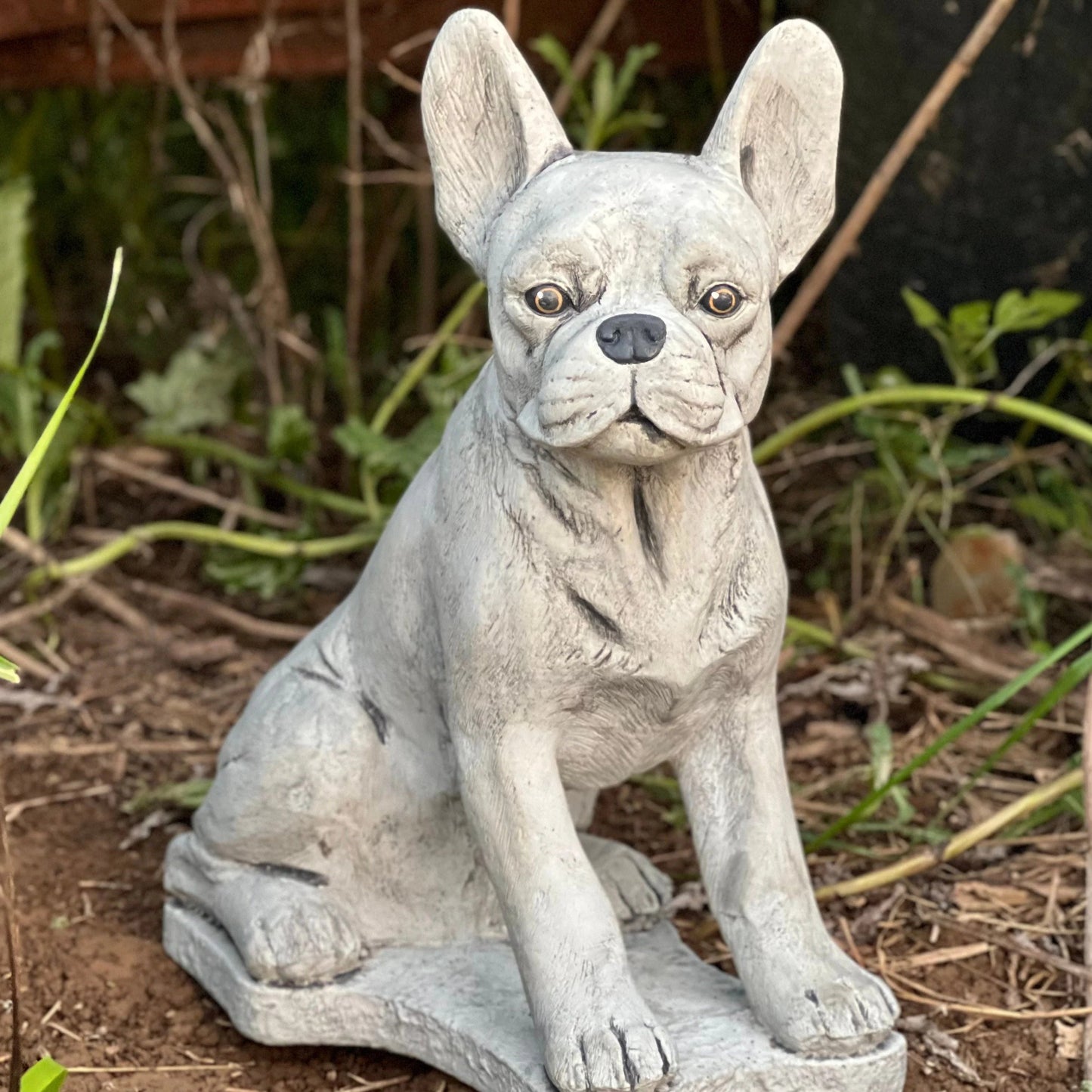Boston Terrier statue