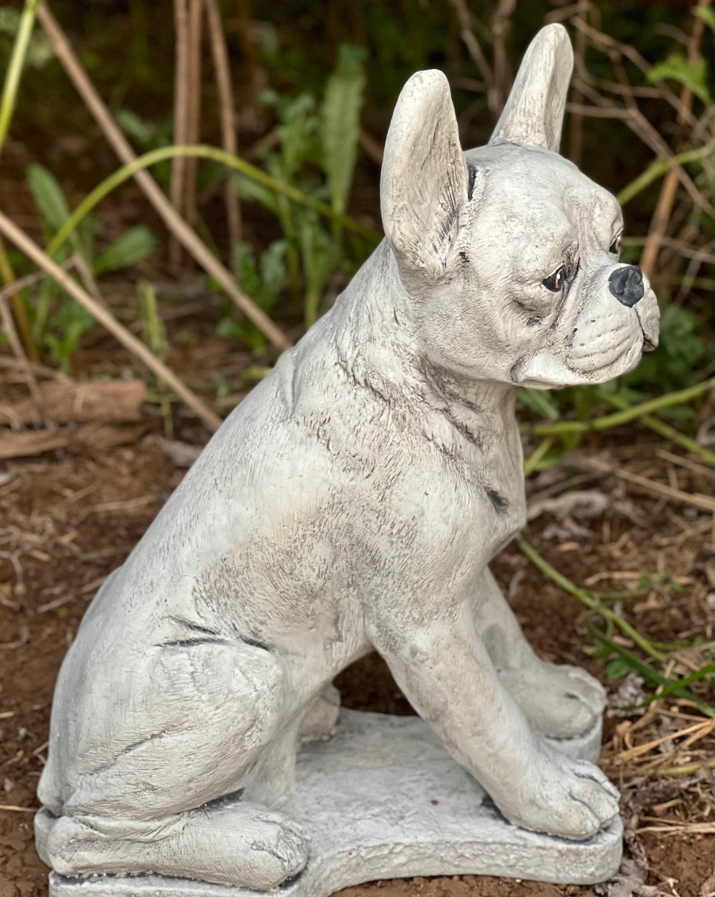 Boston Terrier statue