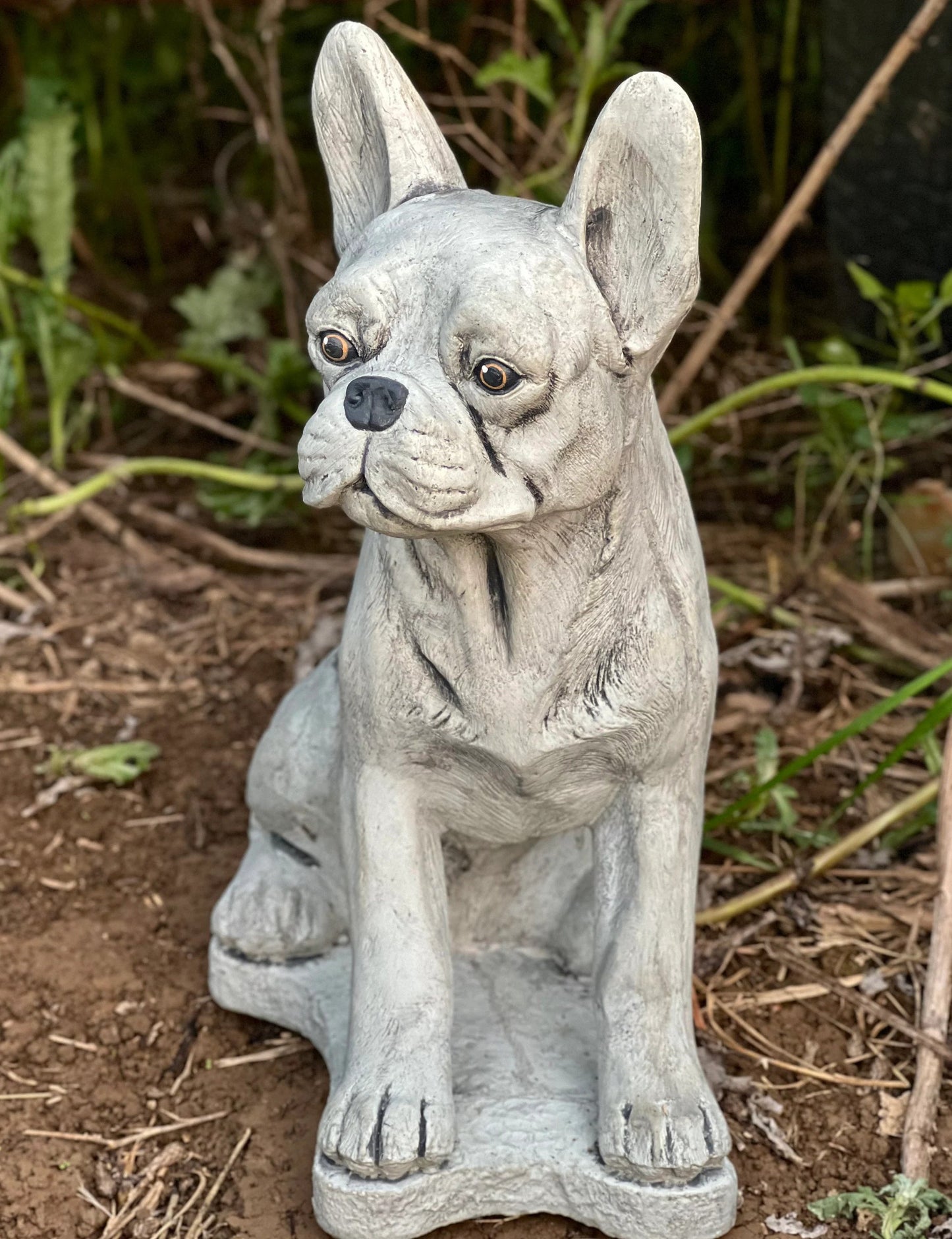 Boston Terrier statue