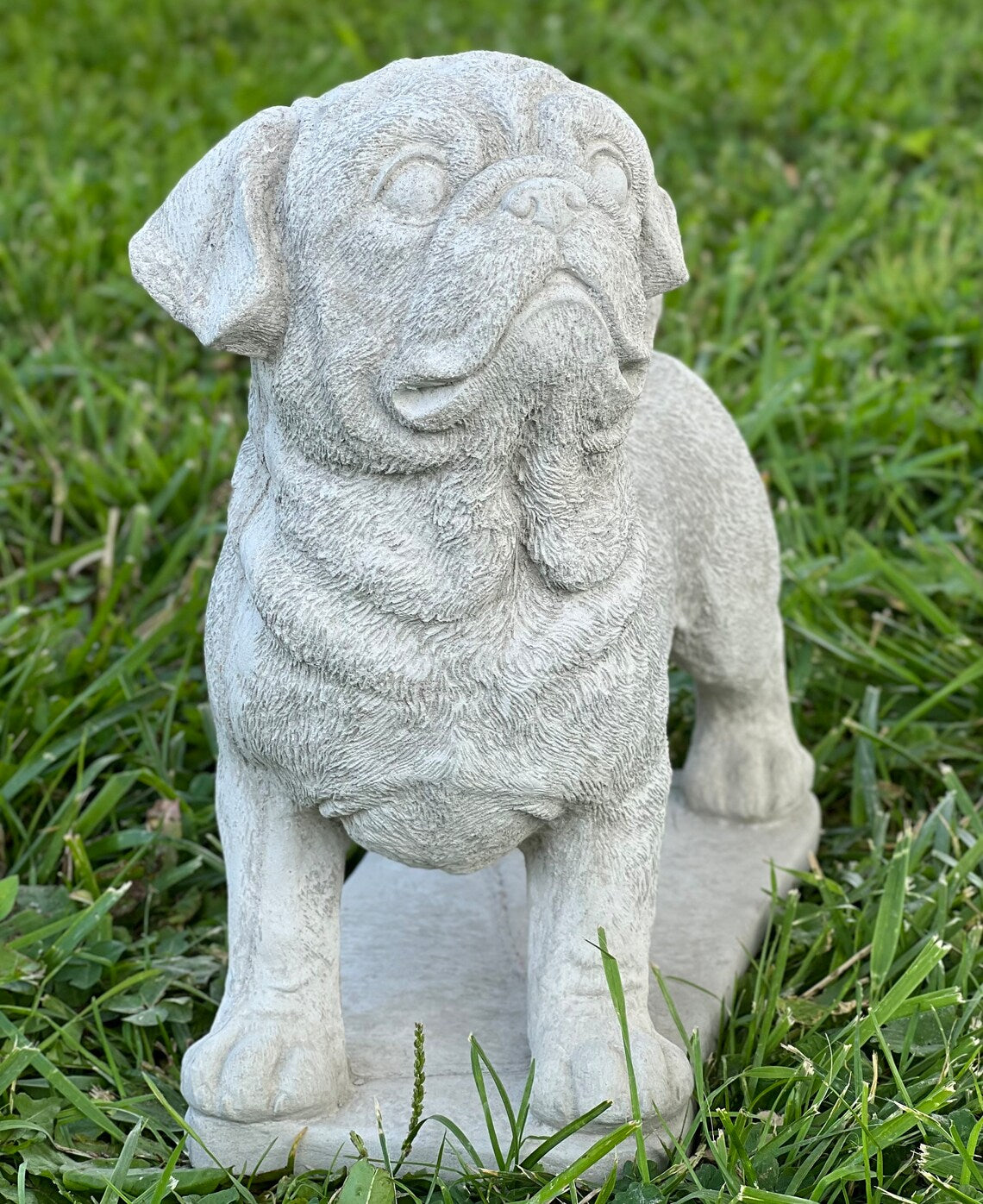 Realistic puppy pug sculpture