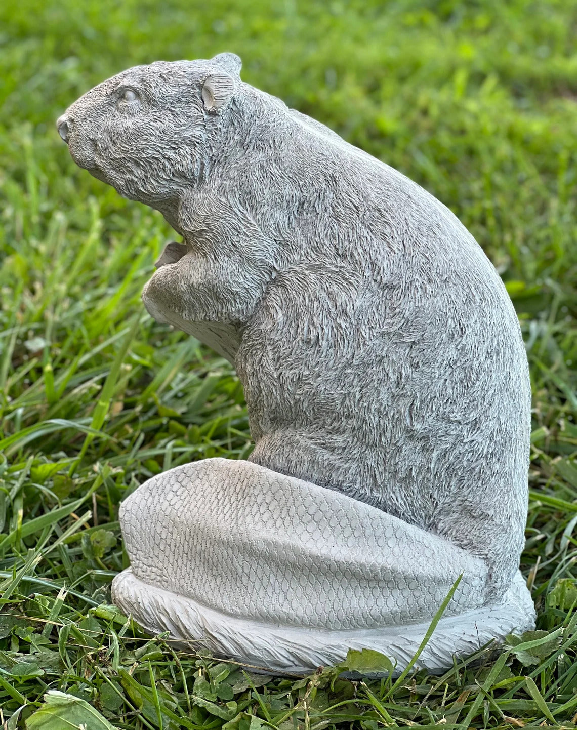Concrete beaver