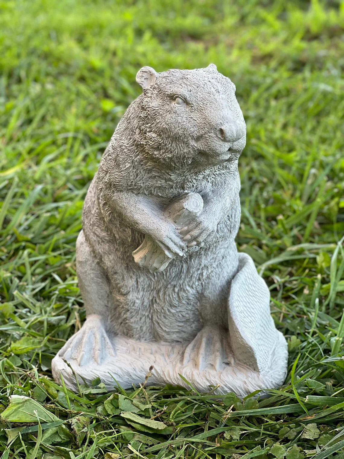 Concrete beaver