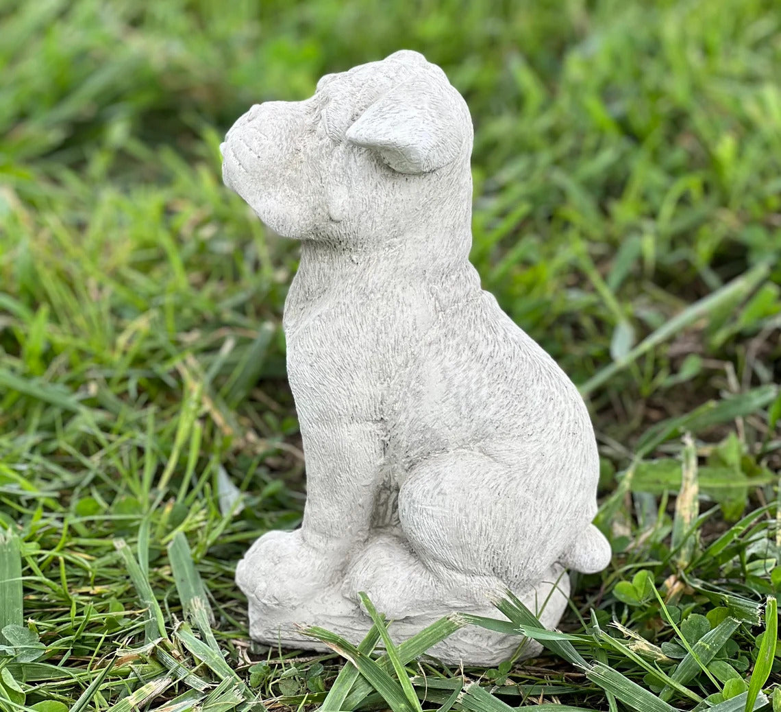 Boxer puppy statue