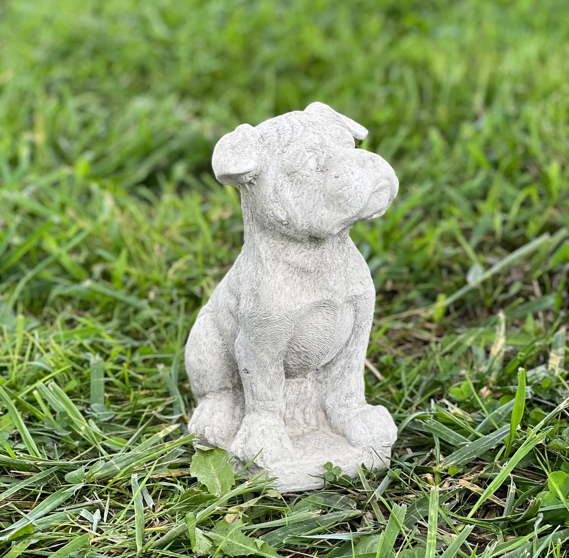 Boxer puppy statue