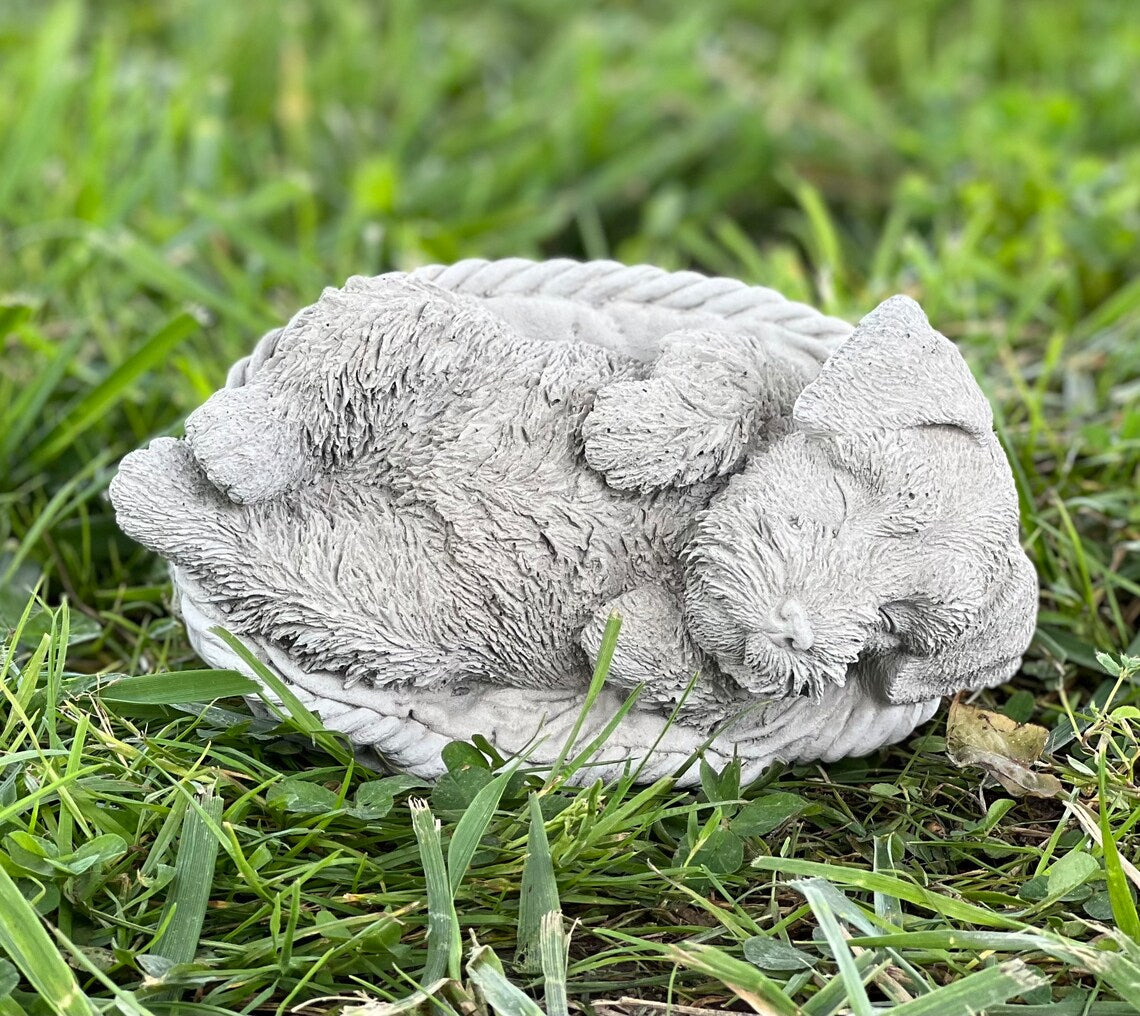 Schnauzer puppy in the basket figure