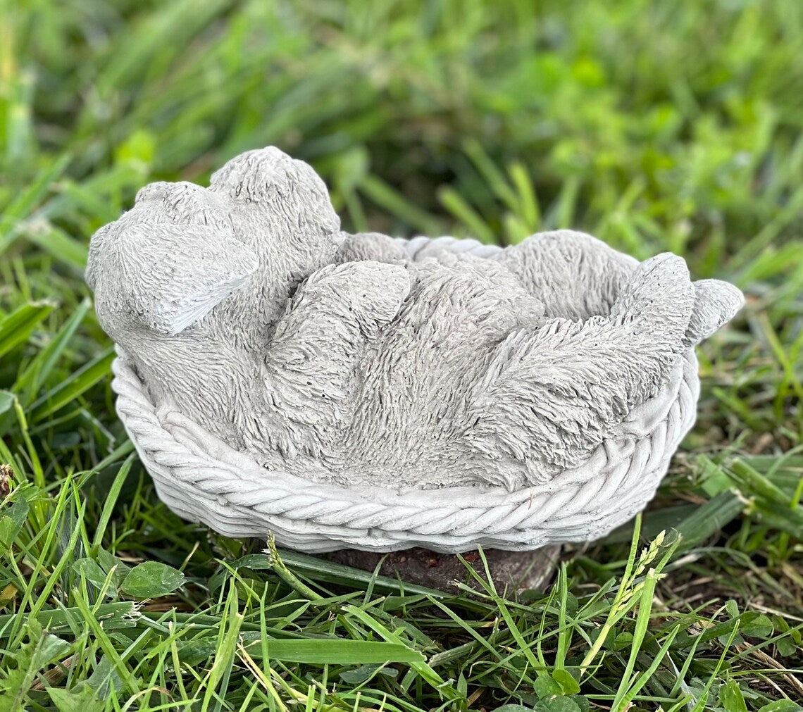 Schnauzer puppy in the basket figure