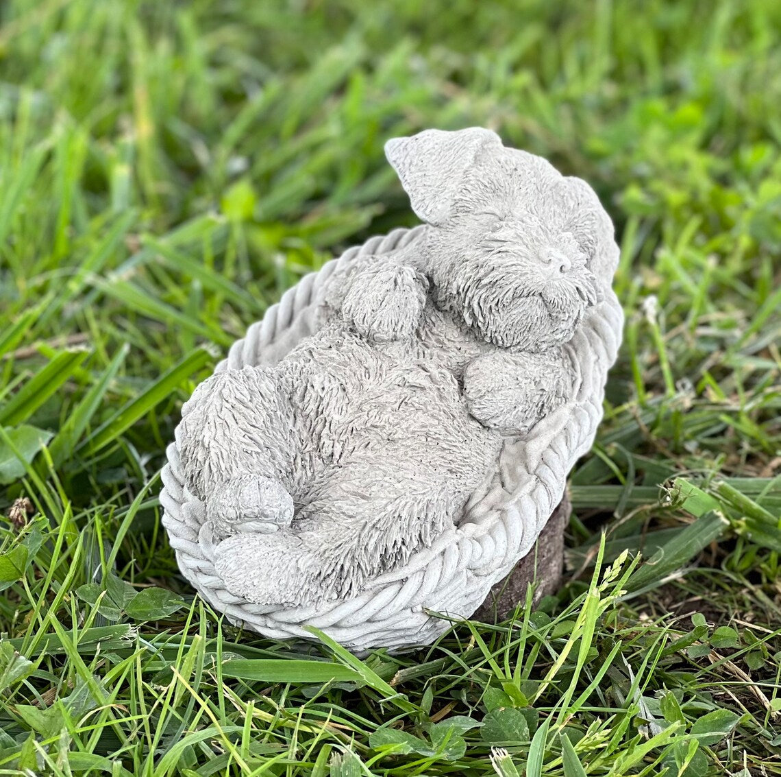 Schnauzer puppy in the basket figure