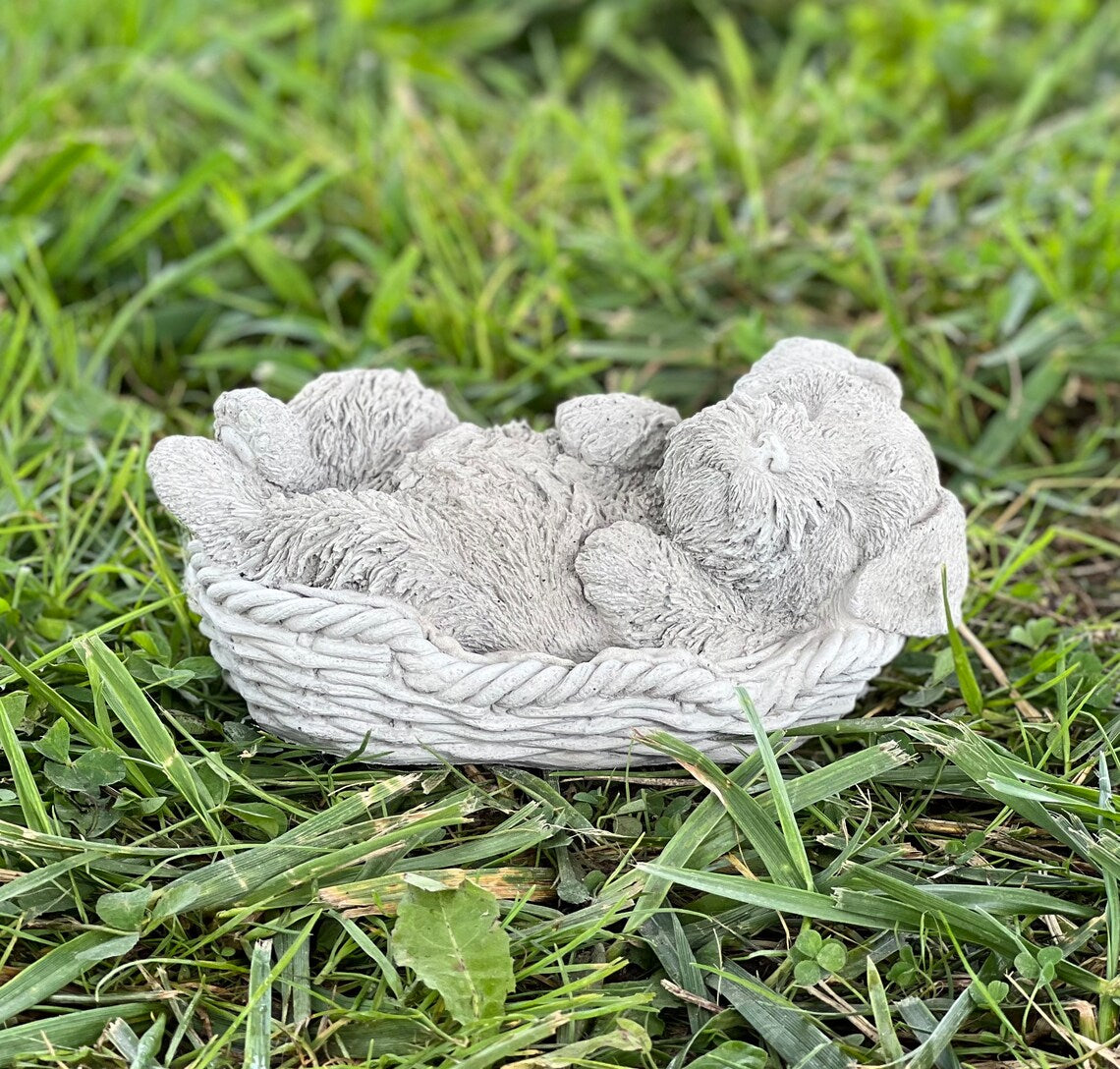Schnauzer puppy in the basket figure