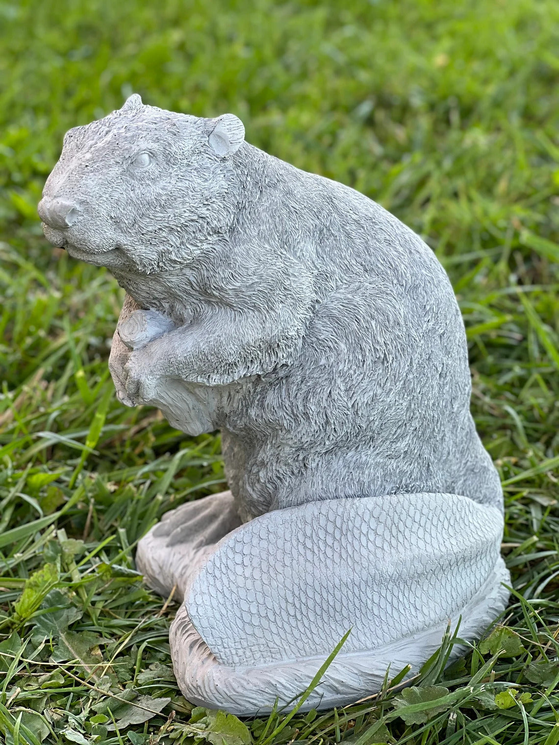 Concrete beaver