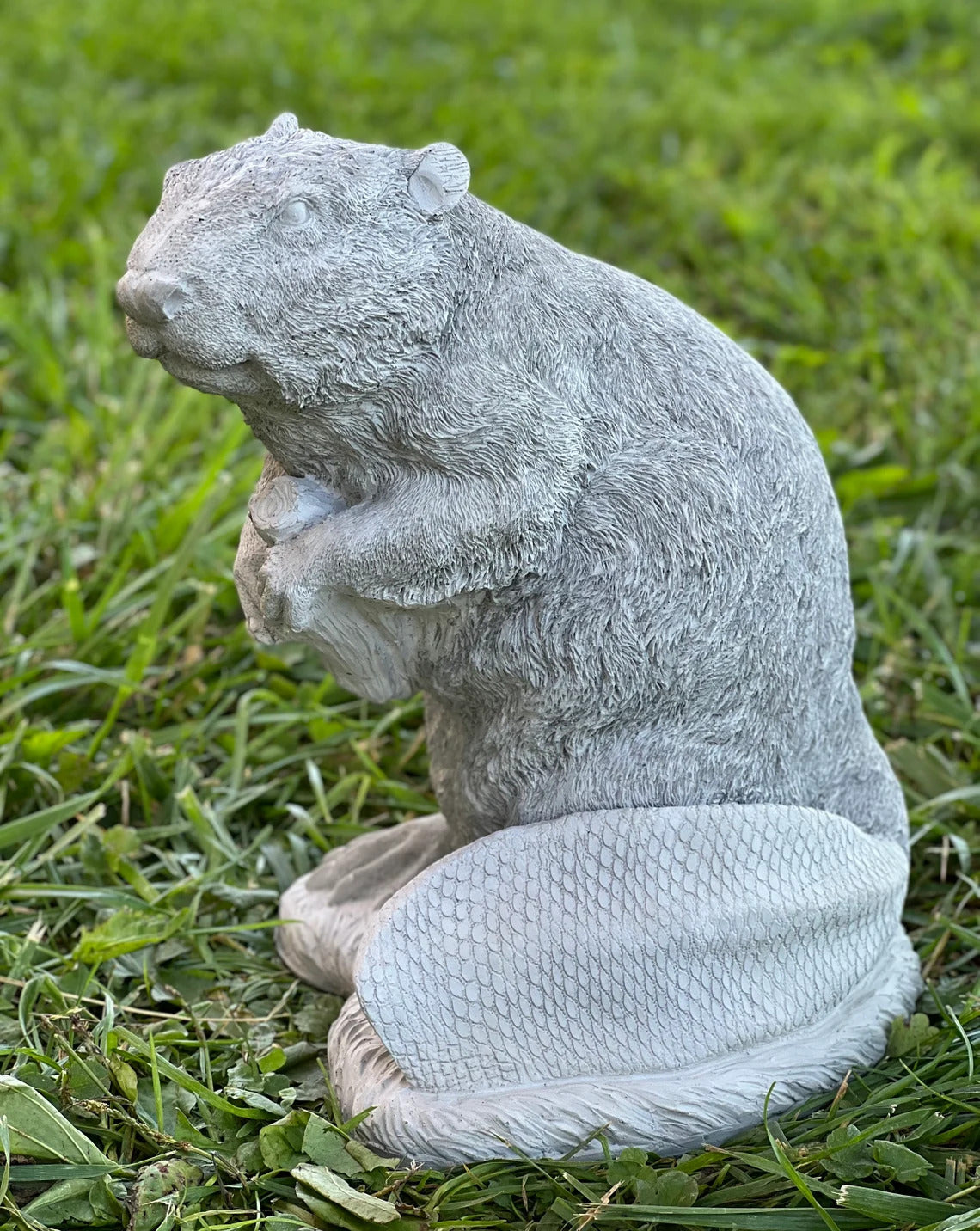 Concrete beaver
