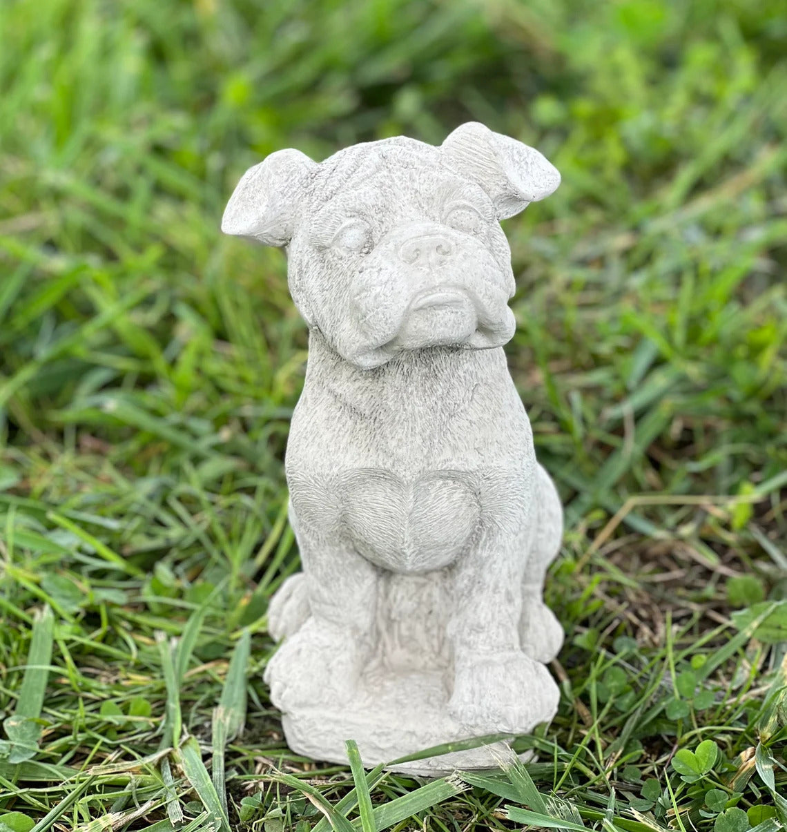 Boxer puppy statue
