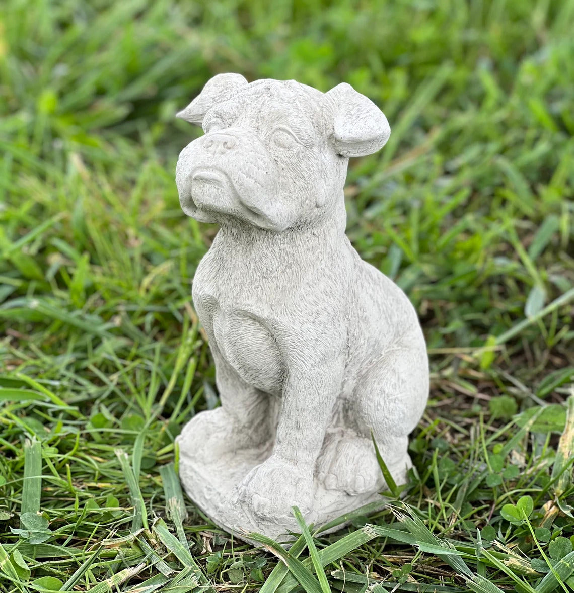 Boxer puppy statue