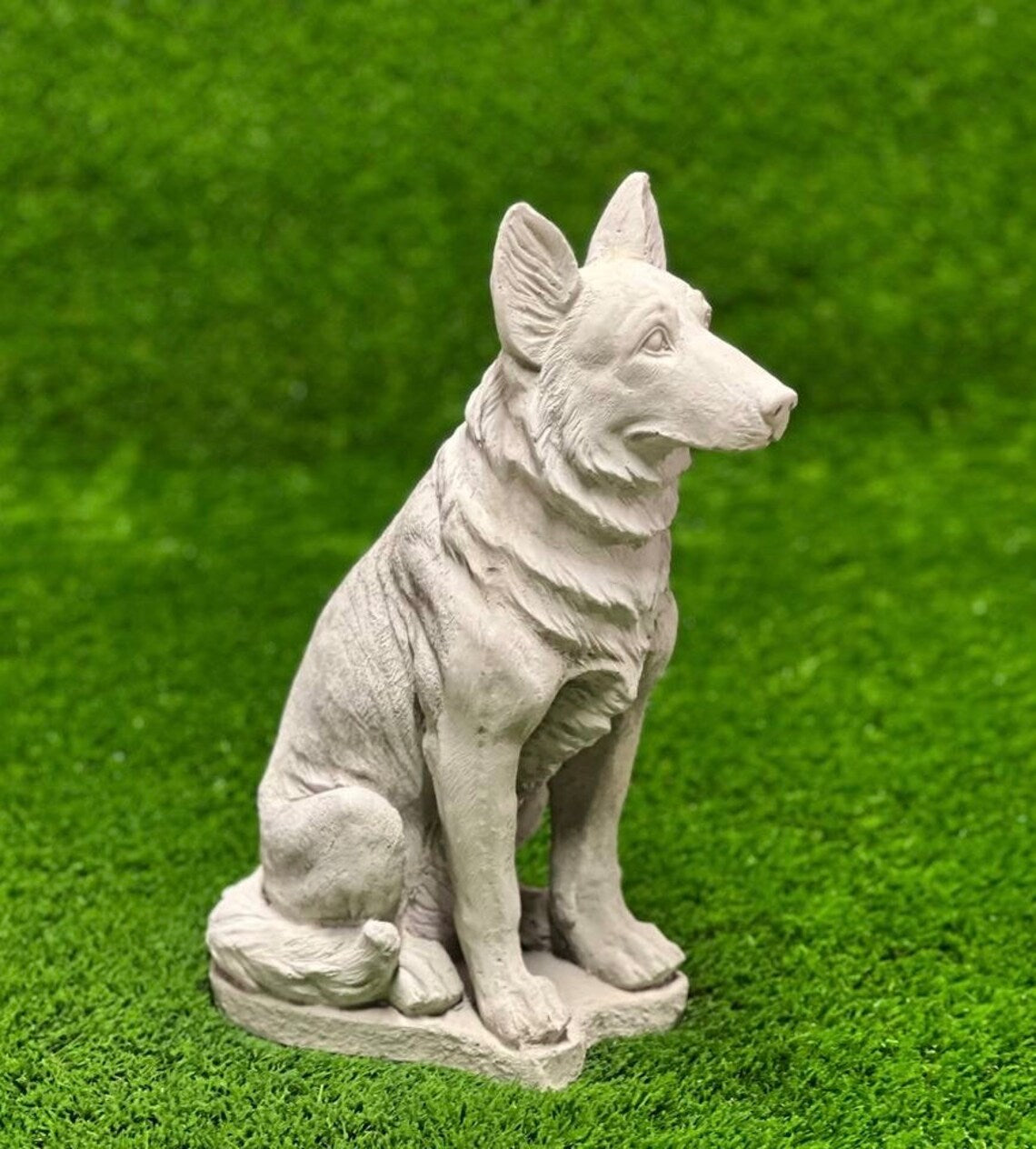 Sitting German Shepherd Dog