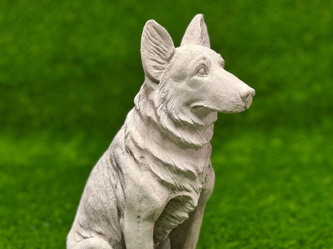 Sitting German Shepherd Dog