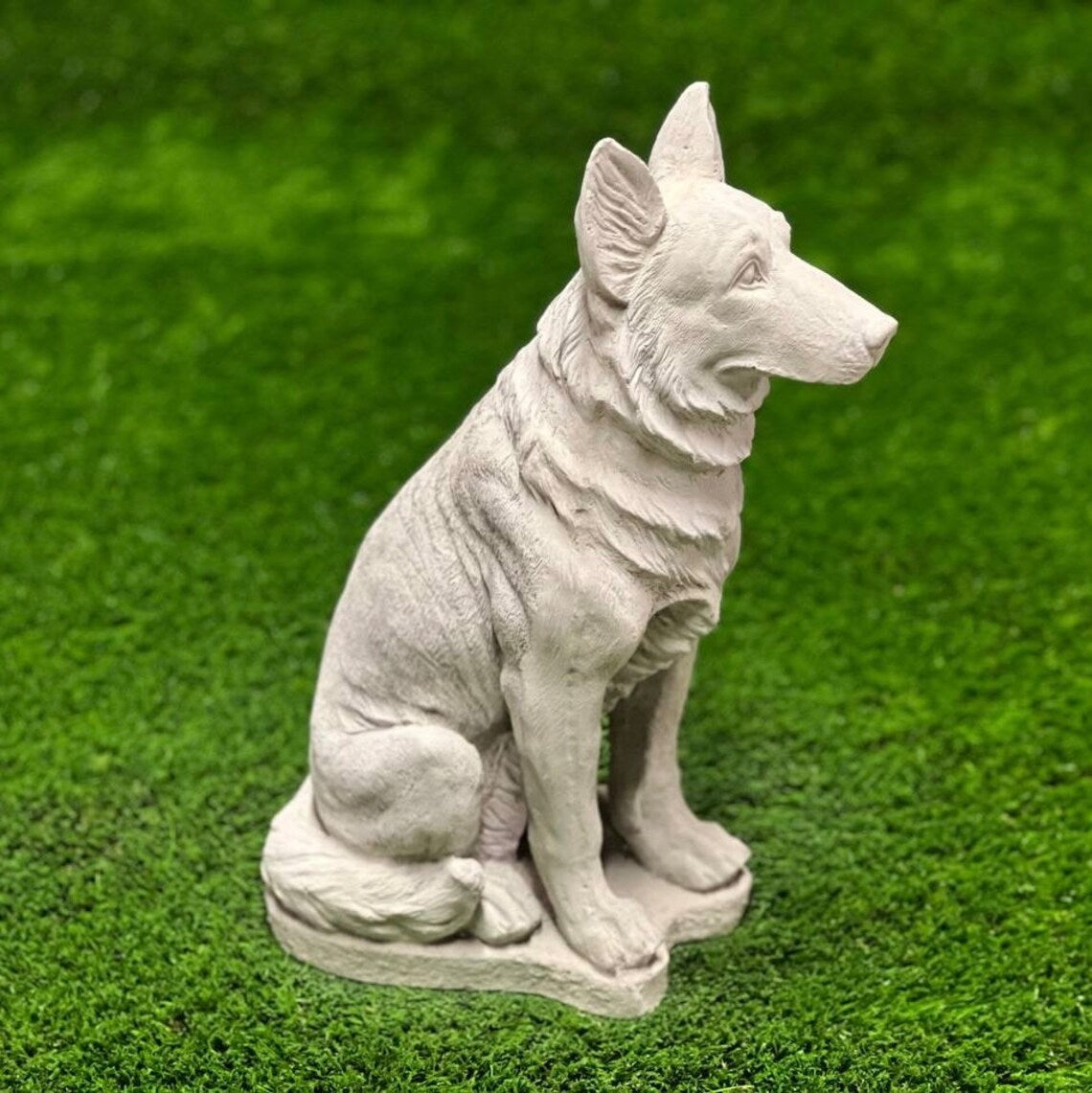 Sitting German Shepherd Dog
