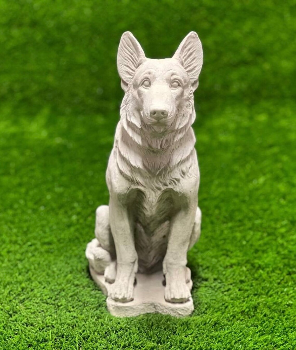 Sitting German Shepherd Dog