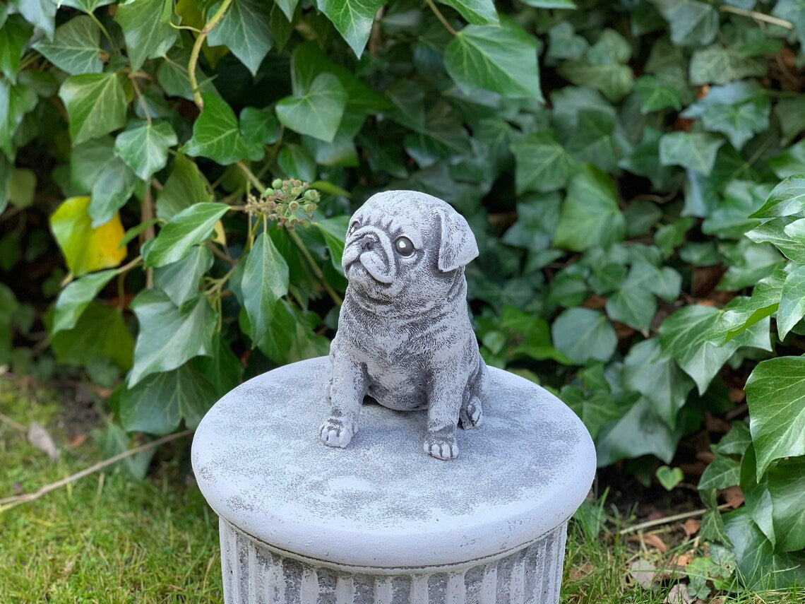 Pug dog statue