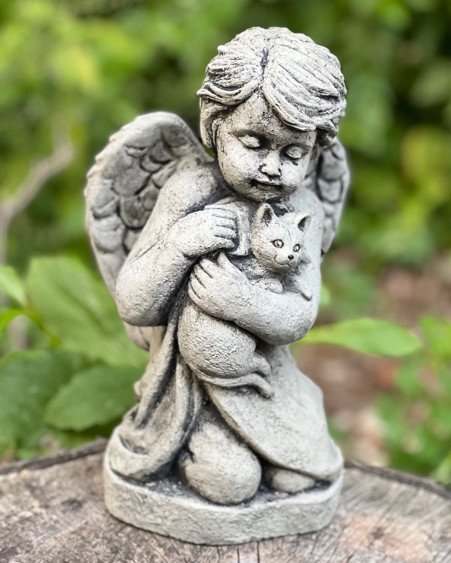 Angel with kitty